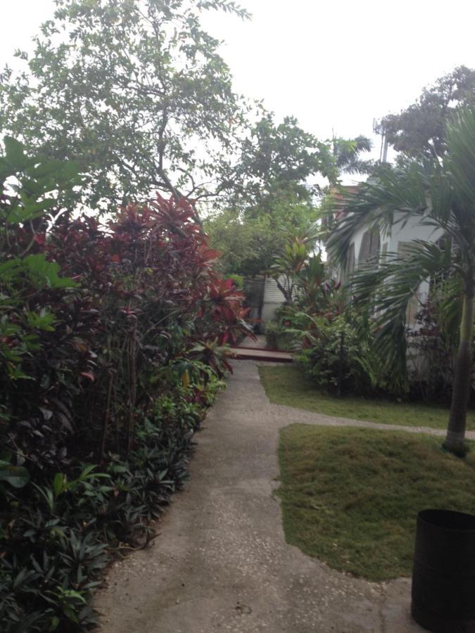 15 Min From The Airport In Kingston Jamaicaアパートメント エクステリア 写真