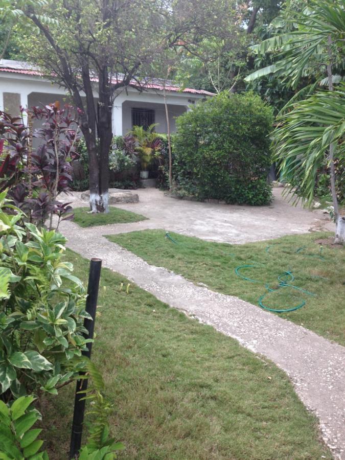 15 Min From The Airport In Kingston Jamaicaアパートメント エクステリア 写真