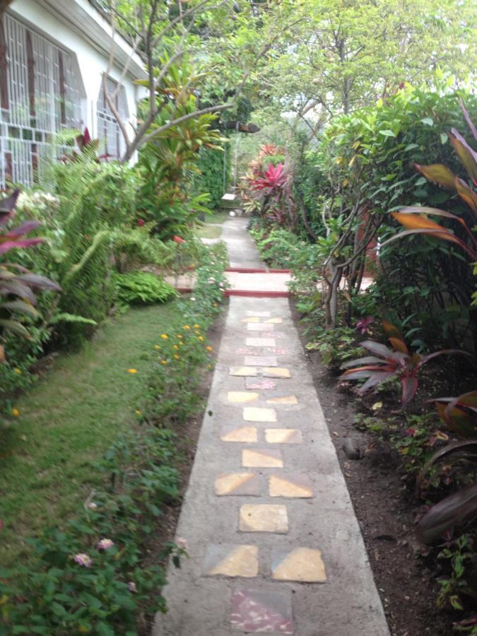 15 Min From The Airport In Kingston Jamaicaアパートメント エクステリア 写真
